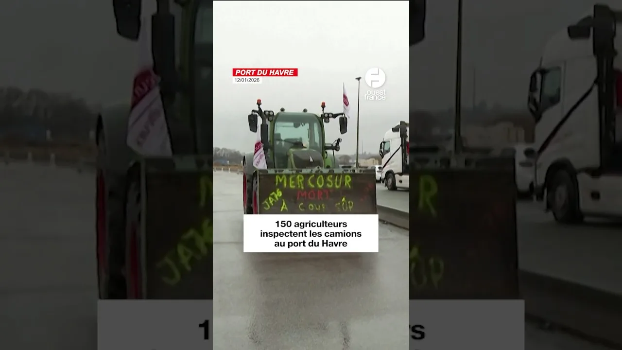 sète bloqué après l’annulation d’une traversée vers l’algérie par gnv